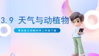 青岛版 (五四制2017)二年级下册9 天气与动植物精品ppt课件
