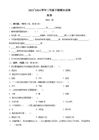 河南省新乡市粤教版2023-2024学年三年级下册期末考试科学试卷（原卷版+解析版）