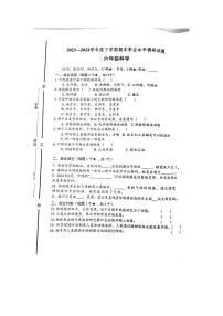 山东省临沂市罗庄区2023-2024学年六年级下学期7月期末科学试题