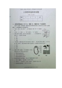 广东省深圳市南山区2023-2024学年四年级下学期期末科学试题