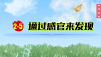 小学科学教科版（2024）一年级上册5. 通过感官来发现多媒体教学ppt课件