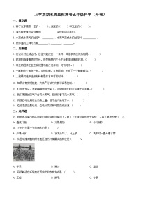 湖南省长沙市雨花区2023-2024学年教科版五年级下册期末考试科学试卷（原卷版+解析版）