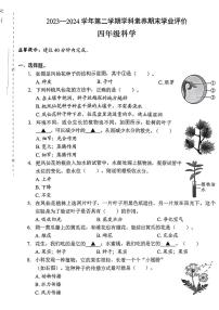 广东省深圳市龙岗区2023-2024学年四年级下学期期末考试科学试题