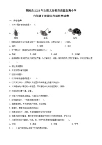 湖南省株洲市茶陵县2023-2024学年湘科版六年级下册期末考试科学试卷（原卷版+解析版）