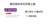 小学科学教科版 (2017)五年级上册5.摆的快慢优秀教学ppt课件