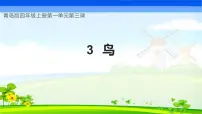 小学3 鸟优秀教学ppt课件