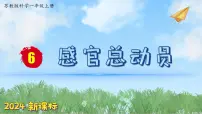 苏教版（2024）一年级上册6 感官总动员图片ppt课件