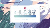 小学科学苏教版（2024）一年级上册4 认识感官优秀ppt课件