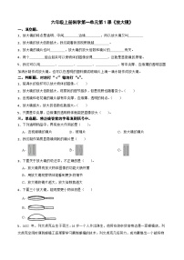 小学科学教科版 (2017)六年级上册1.放大镜当堂达标检测题