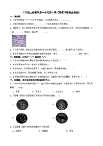 教科版 (2017)六年级上册4.观察洋葱表皮细胞同步测试题