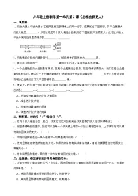 科学六年级上册2.怎样放得更大课后测评