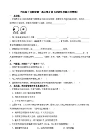 小学科学教科版 (2017)六年级上册3.观察身边微小的物体练习题