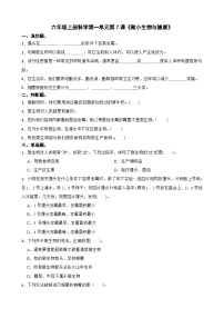 教科版 (2017)六年级上册7.微生物与健康课后测评