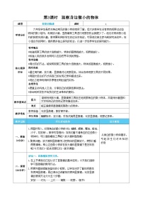 科学六年级上册3.观察身边微小的物体精品第3课时教案及反思