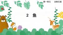 小学科学青岛版 (六三制2017)四年级上册2 鱼授课ppt课件