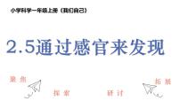科学一年级上册5. 通过感官来发现完美版课件ppt