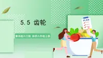 青岛版 (六三制2017)18 齿轮精品ppt课件