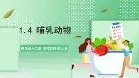 小学科学青岛版 (六三制2017)四年级上册第一单元 动物王国4 哺乳动物精品课件ppt