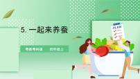 粤教粤科版 (2017)四年级上册5 一起来养蚕优质课件ppt