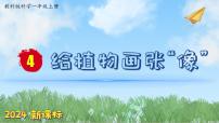 小学科学教科版（2024）一年级上册4. 给植物画张“像”图片ppt课件