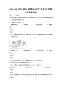 2021-2022学年浙江省杭州市拱墅区六年级下册期末科学试卷及答案(教科版)