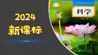 小学科学教科版（2024）一年级上册（2024）2. 观察植物教学ppt课件