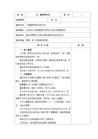 小学科学青岛版 (五四制2017)二年级上册10 植物和阳光优秀表格教案设计