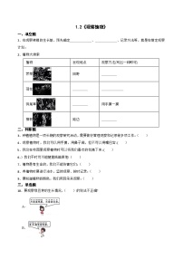 小学科学教科版（2024）一年级上册（2024）2. 观察植物复习练习题