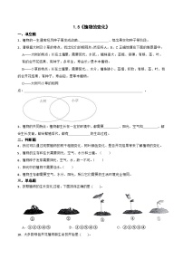 教科版（2024）一年级上册（2024）5. 植物的变化一课一练