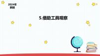 小学科学苏教版（2024）一年级上册（2024）第2单元 用感官观察5 借助工具观察说课ppt课件