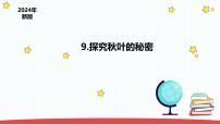 小学科学9 探究秋叶的秘密背景图课件ppt
