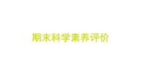 期末科学素养评价（习题课件)-2024-2025学年科学六年级上册教科版