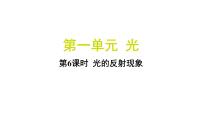 小学教科版（2024）6.光的反射现象习题ppt课件