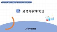 科学5. 通过感官来发现教学演示ppt课件