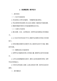 教科版（2024）一年级上册（2024）2. 观察植物教案及反思
