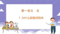 小学科学粤教粤科版 (2017)六年级上册1 为什么能看到物体教学演示ppt课件