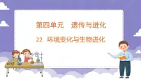 小学科学粤教粤科版 (2017)六年级上册第4单元 遗传与进化22 环境变化与生物进化课文课件ppt