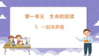 小学科学粤教粤科版 (2017)四年级上册5 一起来养蚕课文内容课件ppt