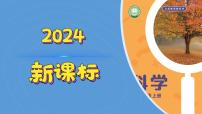 科学湘科版（2024）2 找相同和不同说课课件ppt