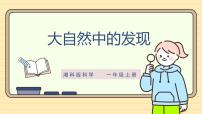 小学科学7 大自然中的发现精品课件ppt