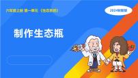 科学六年级上册4 制作生态瓶集体备课课件ppt