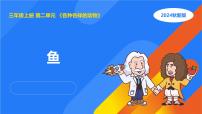 小学科学湘科版（2024）三年级上册第二单元 各种各样的动物2 鱼评课课件ppt