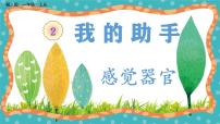 小学科学冀人版（2024）一年级上册（2024）第二单元 我的助手3 感觉器官完美版教学课件ppt