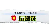 小学科学青岛版（六三制）(2024)一年级上册（2024）11 玩磁铁教学ppt课件