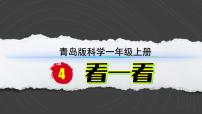 青岛版（六三制）(2024)一年级上册（2024）第二单元 观察有方法4 看一看教学ppt课件