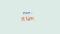 小学科学大象版（2024）一年级上册（2024）体验单元 画蚂蚁教学课件ppt