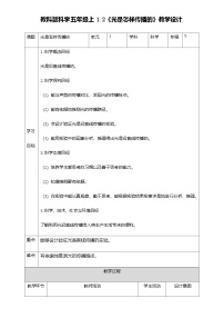 小学教科版（2024）2.光是怎样传播的教案