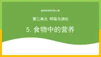 科学教科版（2024）5.食物中的营养优秀表格教案