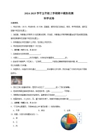 2024-2025学年五年级上学期科学期中模拟试卷（教科版）（含答案解析）