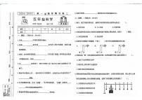 山东省聊城市东昌府区校联考2024-2025学年五年级上学期11月期中科学试题